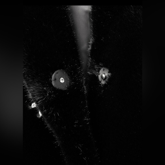 ZARA RHINESTONE JEWEL DETAIL FAUX FUR JACKET COAT ZW COLLECTION | M | NWT - Picture 8 of 12